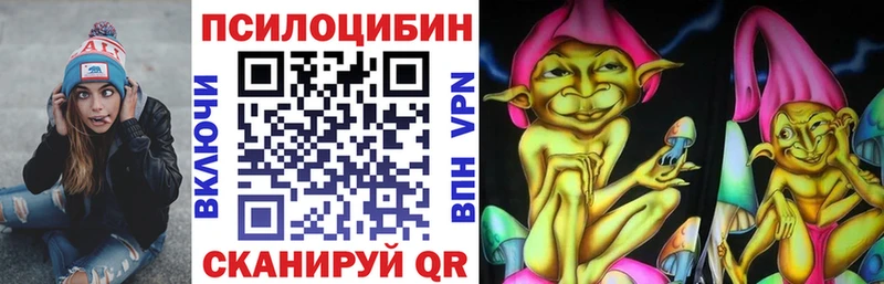 купить наркотик Циолковский Галлюциногенные грибы прущие грибы