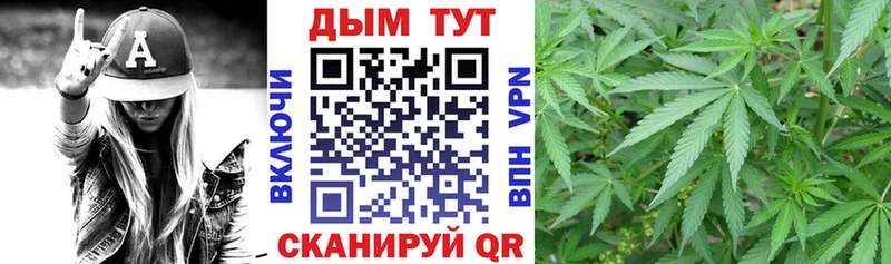 Каннабис Amnesia  купить наркоту  Циолковский 